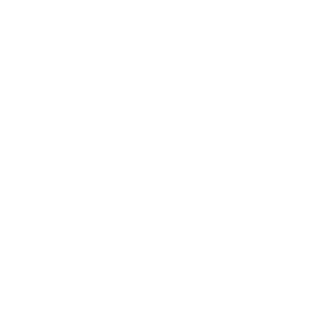 NaughtPanda's emblem