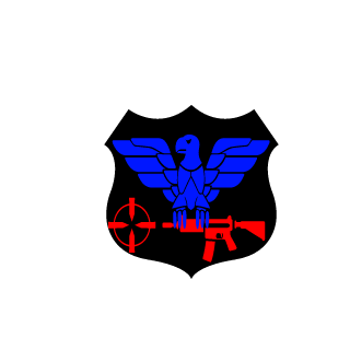 VingadorZ1's emblem
