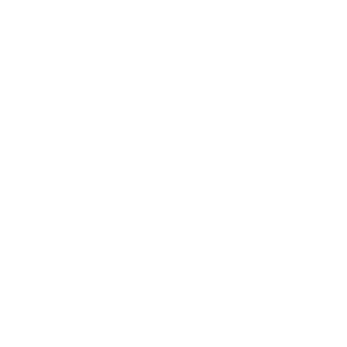 HVPOX1A's emblem