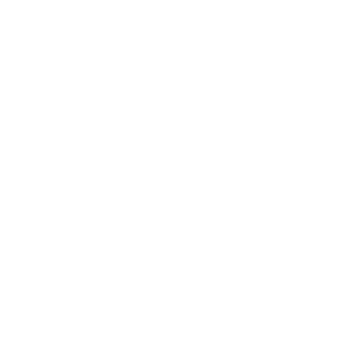 -HERO-Cannon's emblem