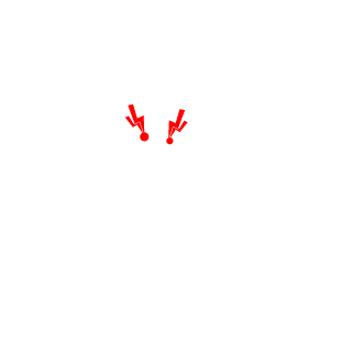 T1R74's emblem
