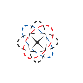 theeNinja's emblem