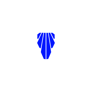 TurboFFM's emblem