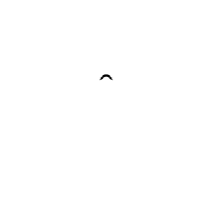 VlKlNG_Vaporub's emblem