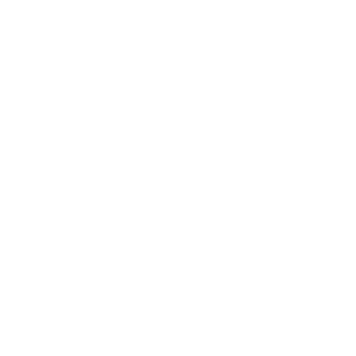 BebraZ_2024's emblem