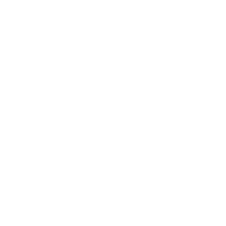 SubjectX01's emblem