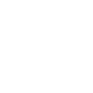FlinT-Is-My-Name's emblem