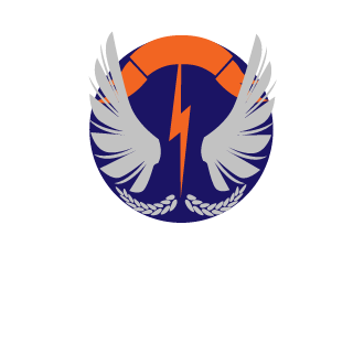 vTs LEO's emblem