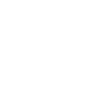 _nxtleM's emblem