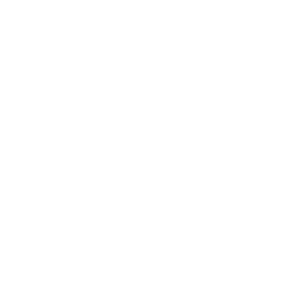 DeeNs4821's emblem