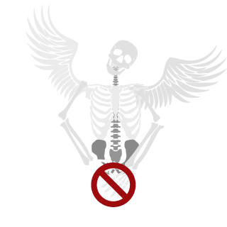 Domybest215's emblem