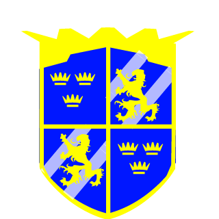 Silor101's emblem