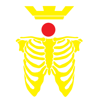 Sdreamerlsyu's emblem