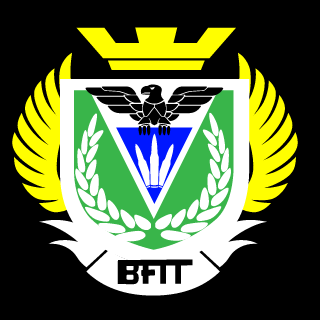 BATTLEFIELD TOP TEAM's emblem