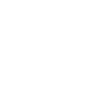 stylel-soheib's emblem