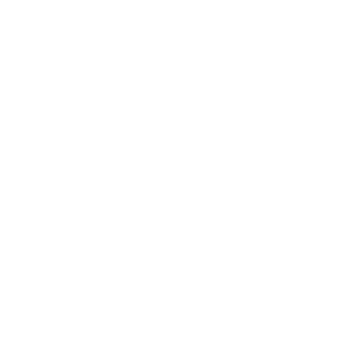 sazer20100's emblem