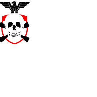 1VirtualWaRRior's emblem