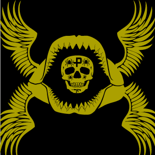 pandanator333's emblem