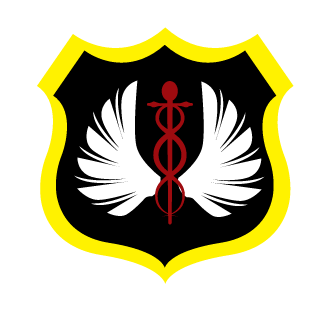 sslemonss's emblem