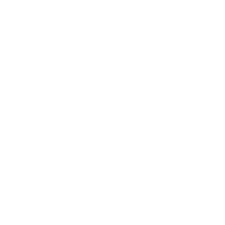 BENAF1221's emblem
