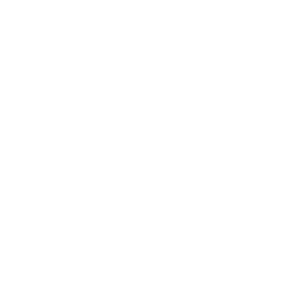 Avesynt's emblem