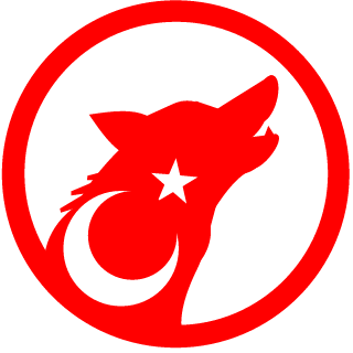 EnesBeren3's emblem