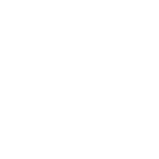 Pad4l1ty's emblem