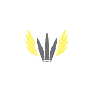 bKn-gm's emblem