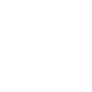 Aarvak_BR's emblem