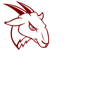 salsa1234's emblem