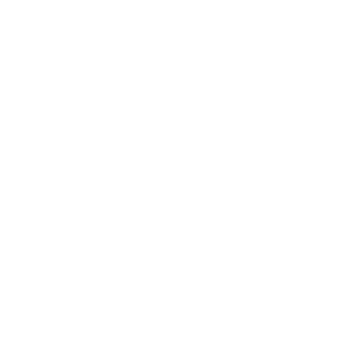 LLapins's emblem