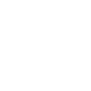1LtHensley's emblem