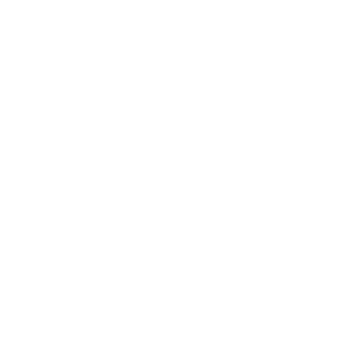 SecretParty24's emblem