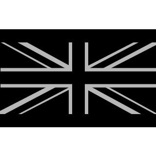 Special Air Service's emblem