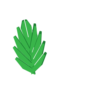 The Fern is back !'s emblem
