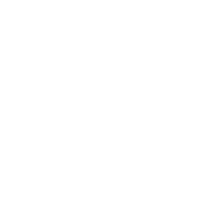 TraiN38rus's emblem