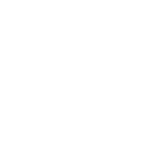 13napster37's emblem