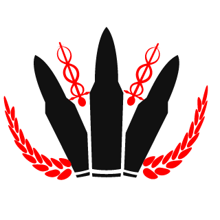bywking2's emblem