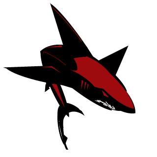 VeeX TEAM's emblem