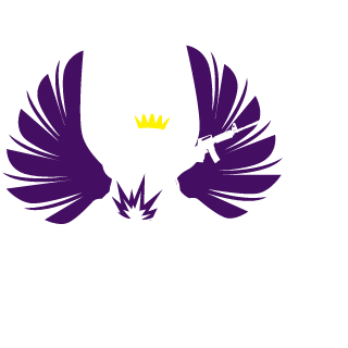 Toxo_Games's emblem