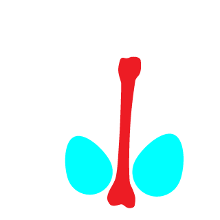 Nazhayy's emblem
