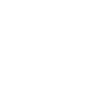 B1unt_Trauma's emblem