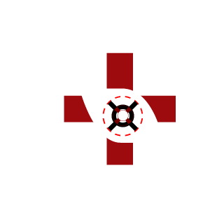 SolidCabasso's emblem