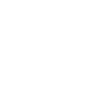4hNSmeagol's emblem