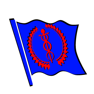 calzilla98_bald's emblem