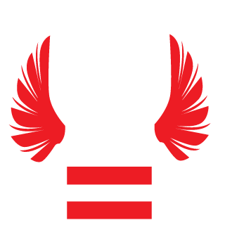 vNanex's emblem