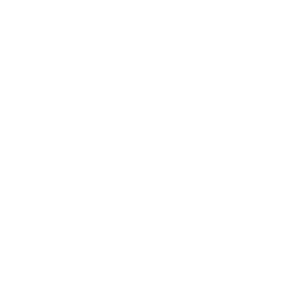 SMR-RAGE's emblem
