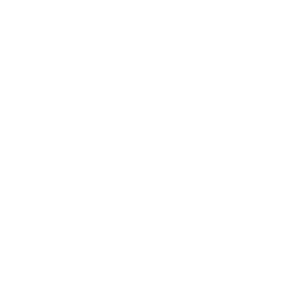 bruneraah's emblem