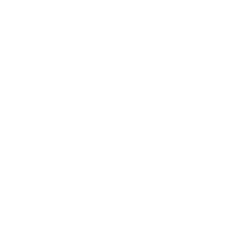 TolnaixdDani2's emblem