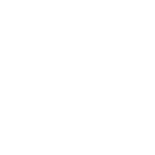 eXaGaming's emblem